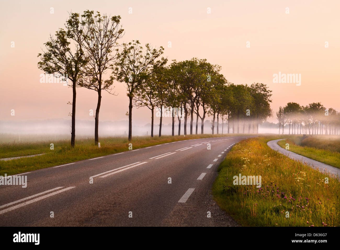 road in the fog Stock Photo - Alamy