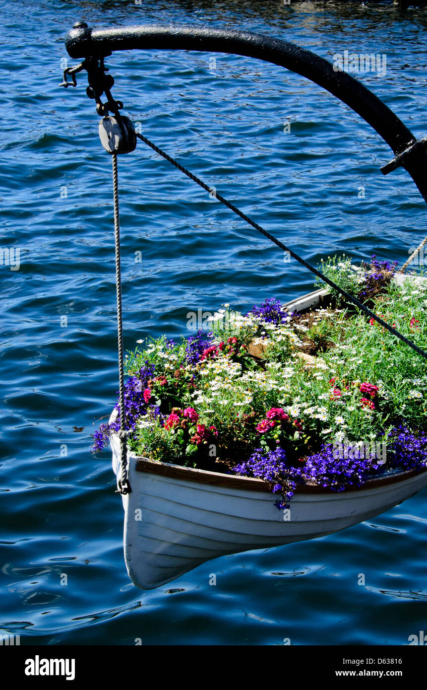 Boat full of flowers Stock Photo Alamy