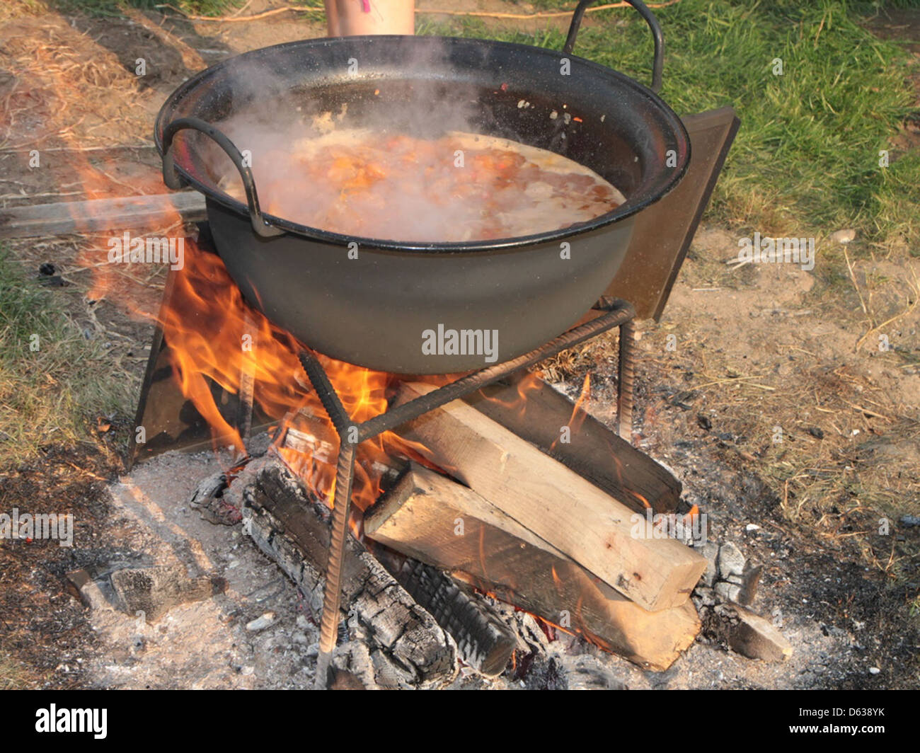 LambStewinaCastIronPot 70014 Stock Photo Alamy