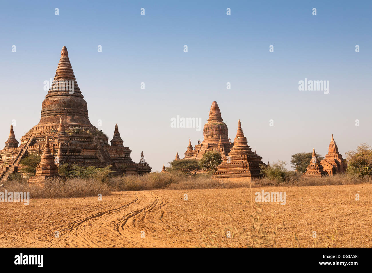 Buledi Temple, in the centre at the back, Bagan, Myanmar, (Burma) Stock Photo