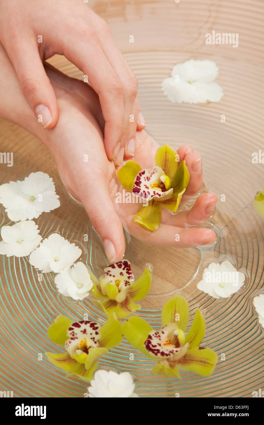 Hands in bowl with clean water and flowers Stock Photo
