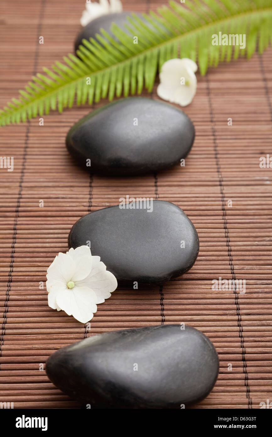 Lastone therapy stones in spa, Studio shot Stock Photo