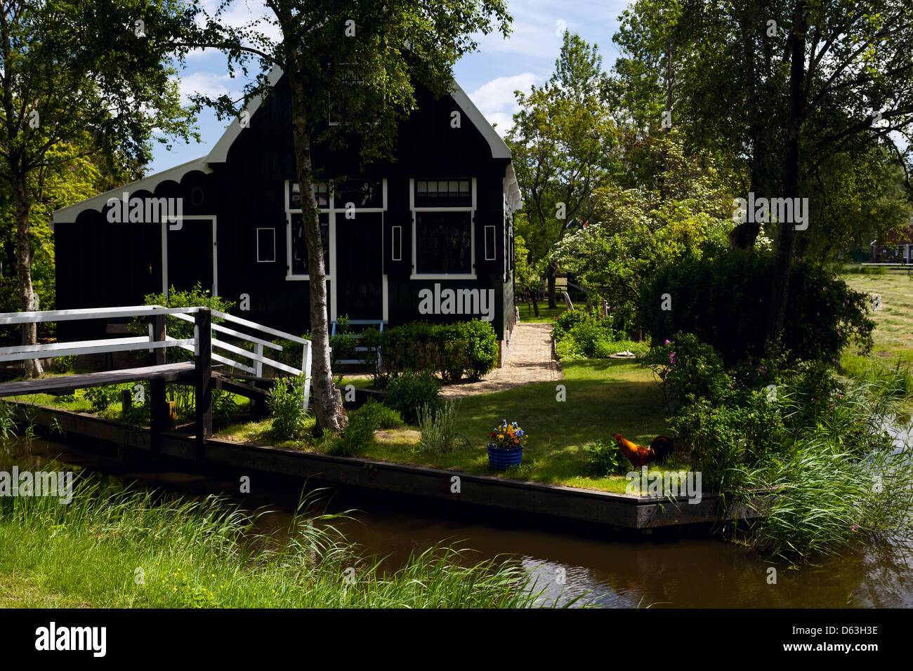 bright green house yard Stock Photo - Alamy