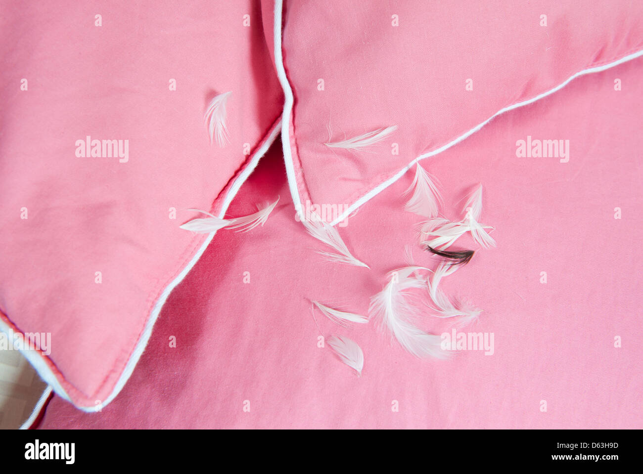 White feathers leaking out of pink cotton pillow Stock Photo