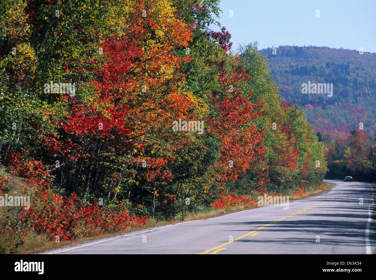 Elk281-1587 New Hampshire, White Mtns, Kancamagus Highway with autumn foliage Stock Photo