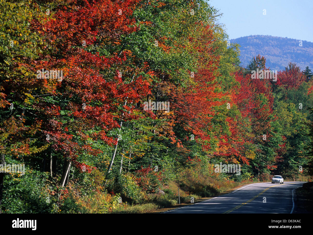 Elk281-1591 New Hampshire, White Mtns, Kancamagus Highway with autumn foliage Stock Photo
