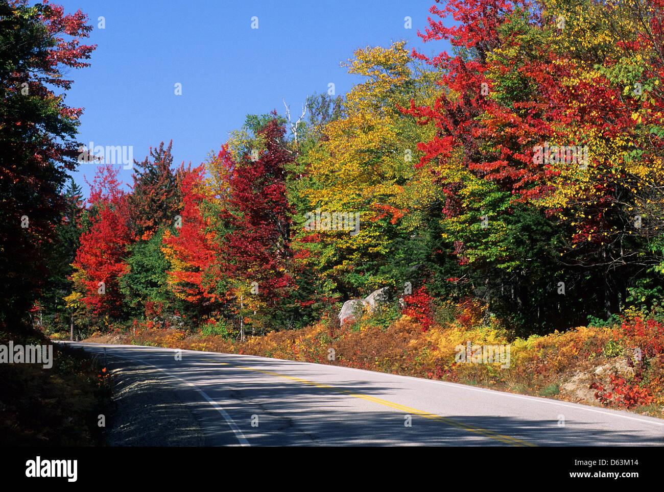 Elk281-1602 New Hampshire, White Mtns, Kancamagus Highway with autumn foliage Stock Photo