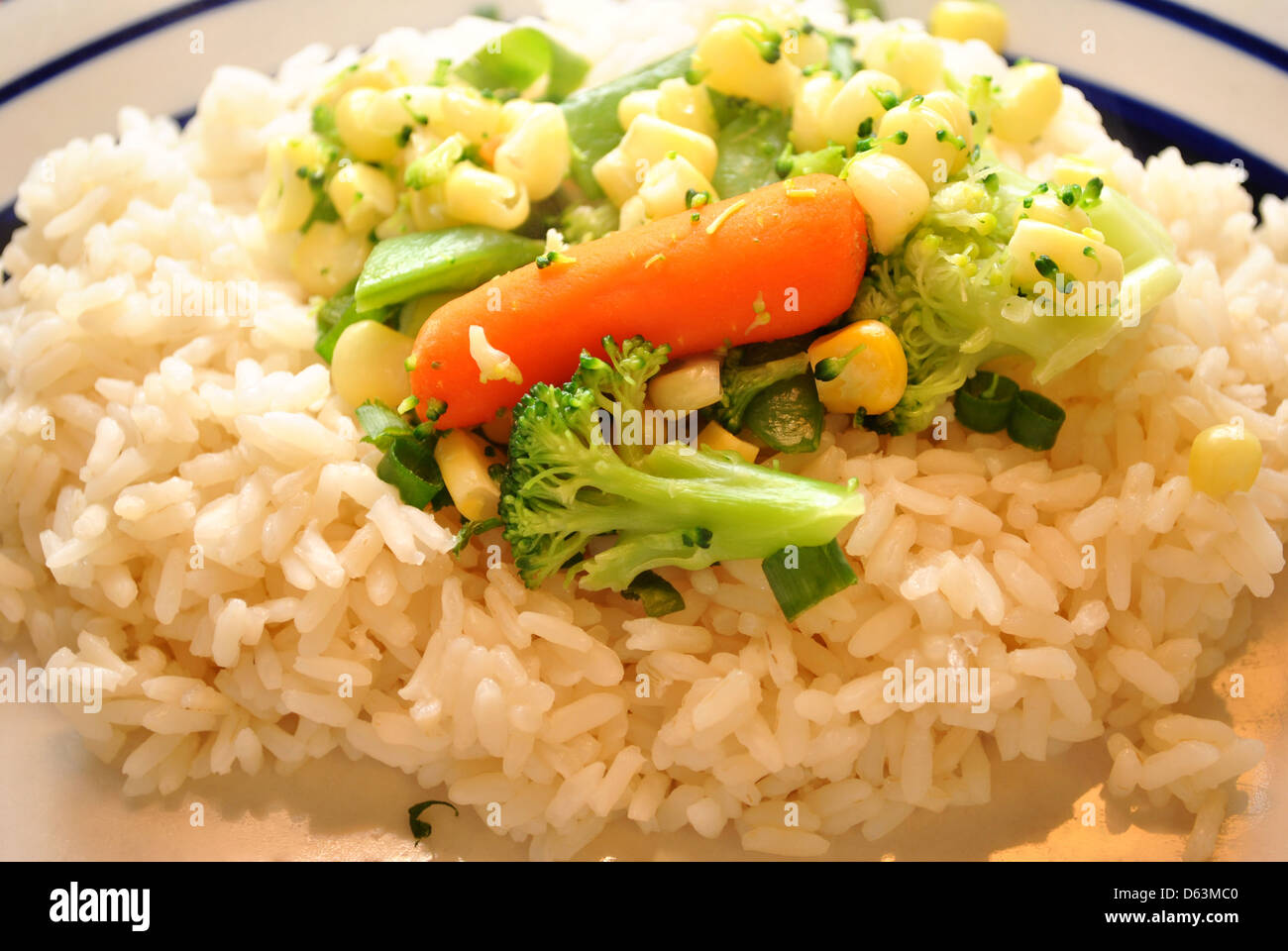 Healthy Veggies on Rice Stock Photo