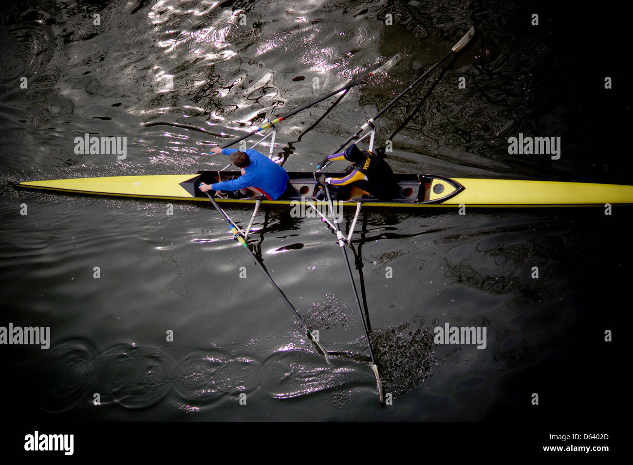 People rowing on the river Ouse in York Stock Photo Alamy