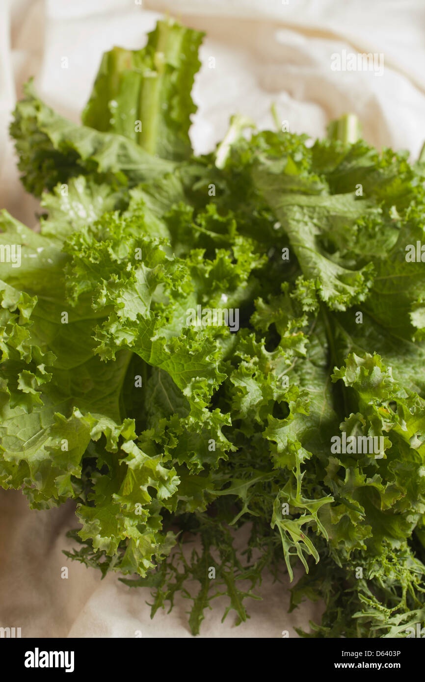 fresh mustard greens Stock Photo Alamy