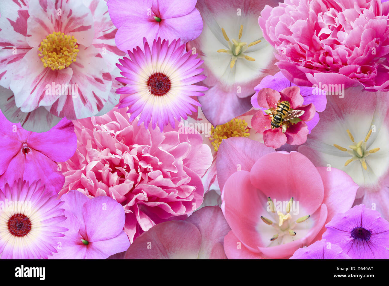 potpourri of flowers Stock Photo Alamy