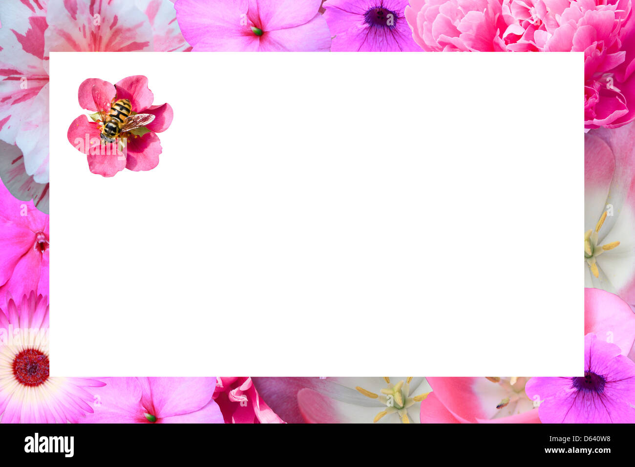 Frame of flowers Stock Photo