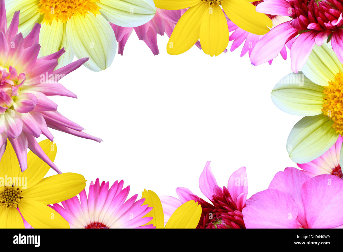 Frame with flowers Stock Photo