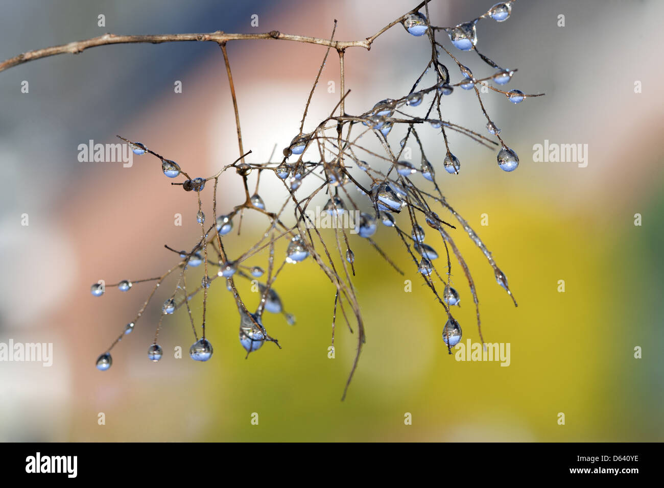 waterdrops Stock Photo
