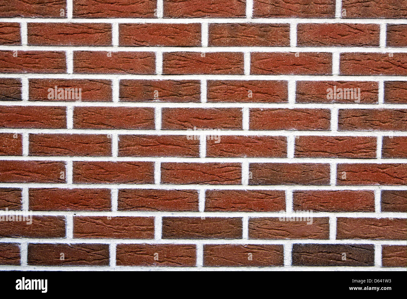 Mauerritze High Resolution Stock Photography and Images - Alamy