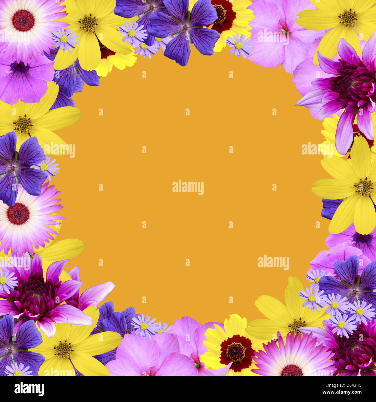 flower edging Stock Photo 55409681 Alamy