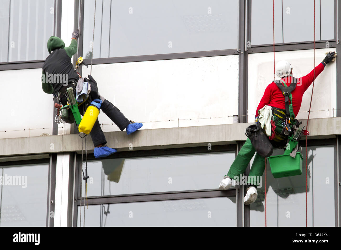 Windows cleaner using climbing gear Stock Photo Alamy