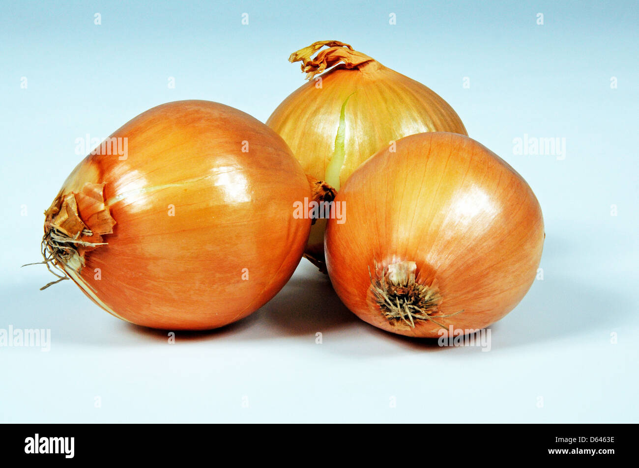 Brown onion peel hi-res stock photography and images - Alamy
