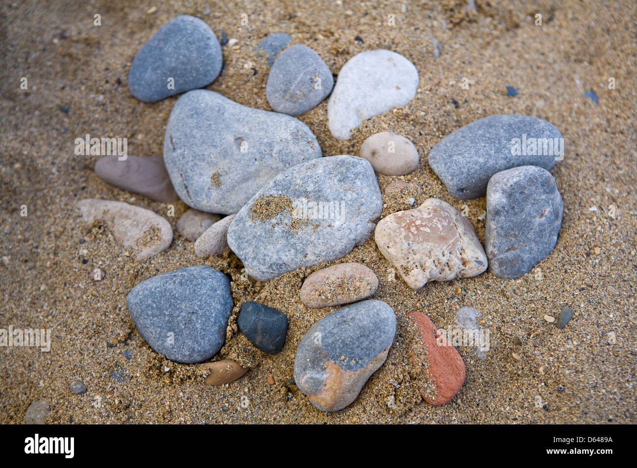 Multiple Beech pebbles on the beech Stock Photo - Alamy
