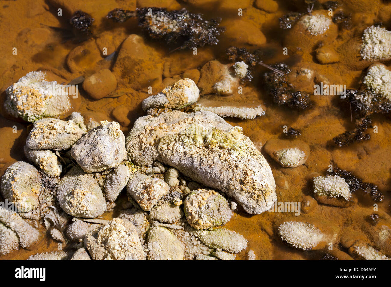 Tinto river río acidic hi-res stock photography and images - Alamy