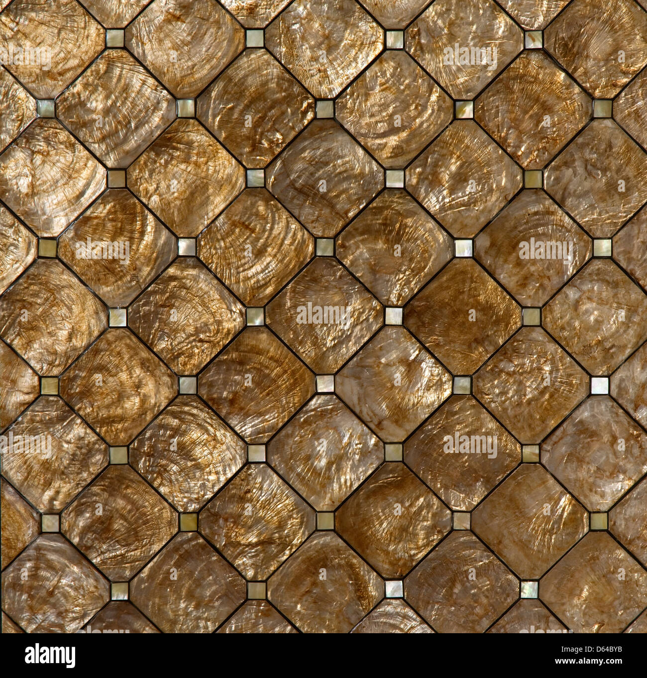 fragment of sea shell wall stucco background Stock Photo - Alamy