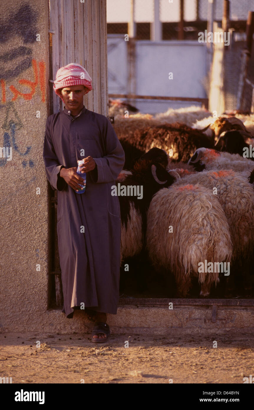 riyadh, saudi arabia -- a third-country laborer slaughterhouse worker on break.  Stock Photo