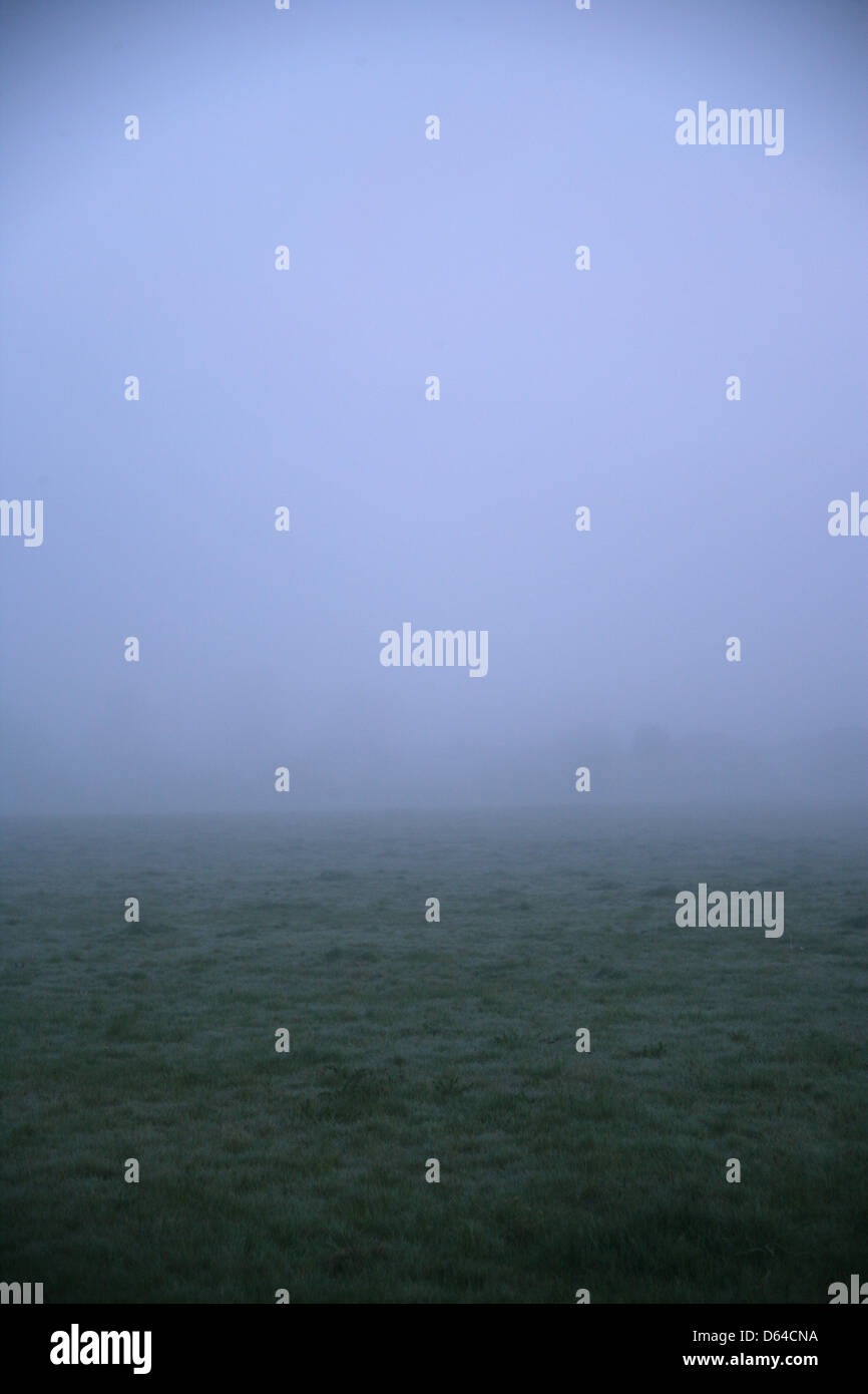 Fog field background hi-res stock photography and images - Alamy