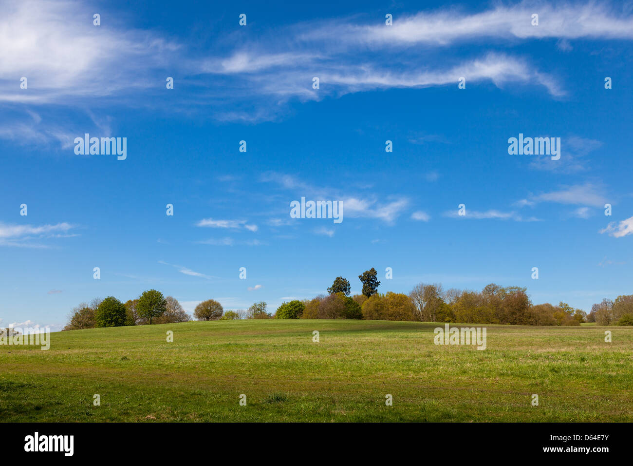 Sky and summer scenic trees hi-res stock photography and images - Alamy
