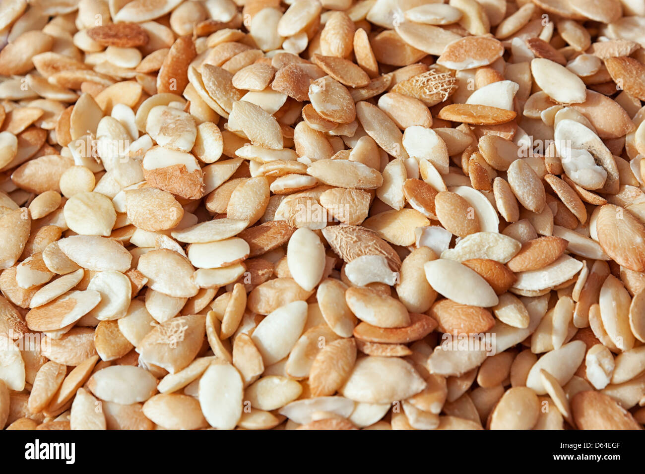 Argan kernels. Stock Photo