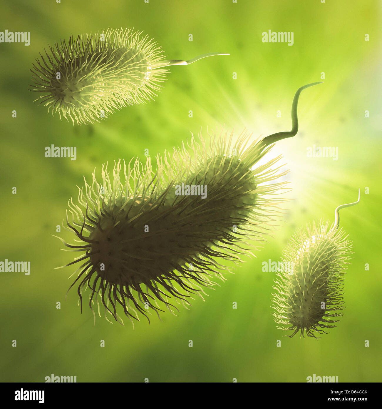 Bacteria, artwork Stock Photo