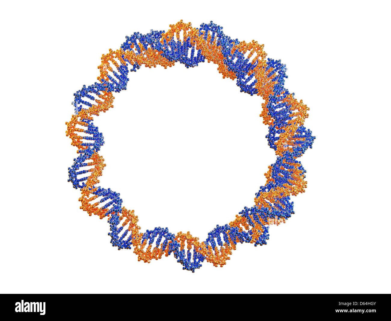 Circular DNA molecule, artwork Stock Photo