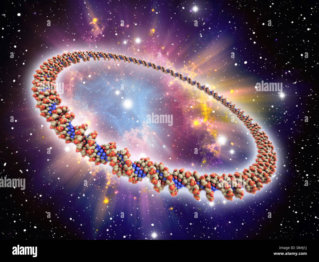 Circular DNA molecule, space artwork Stock Photo Alamy