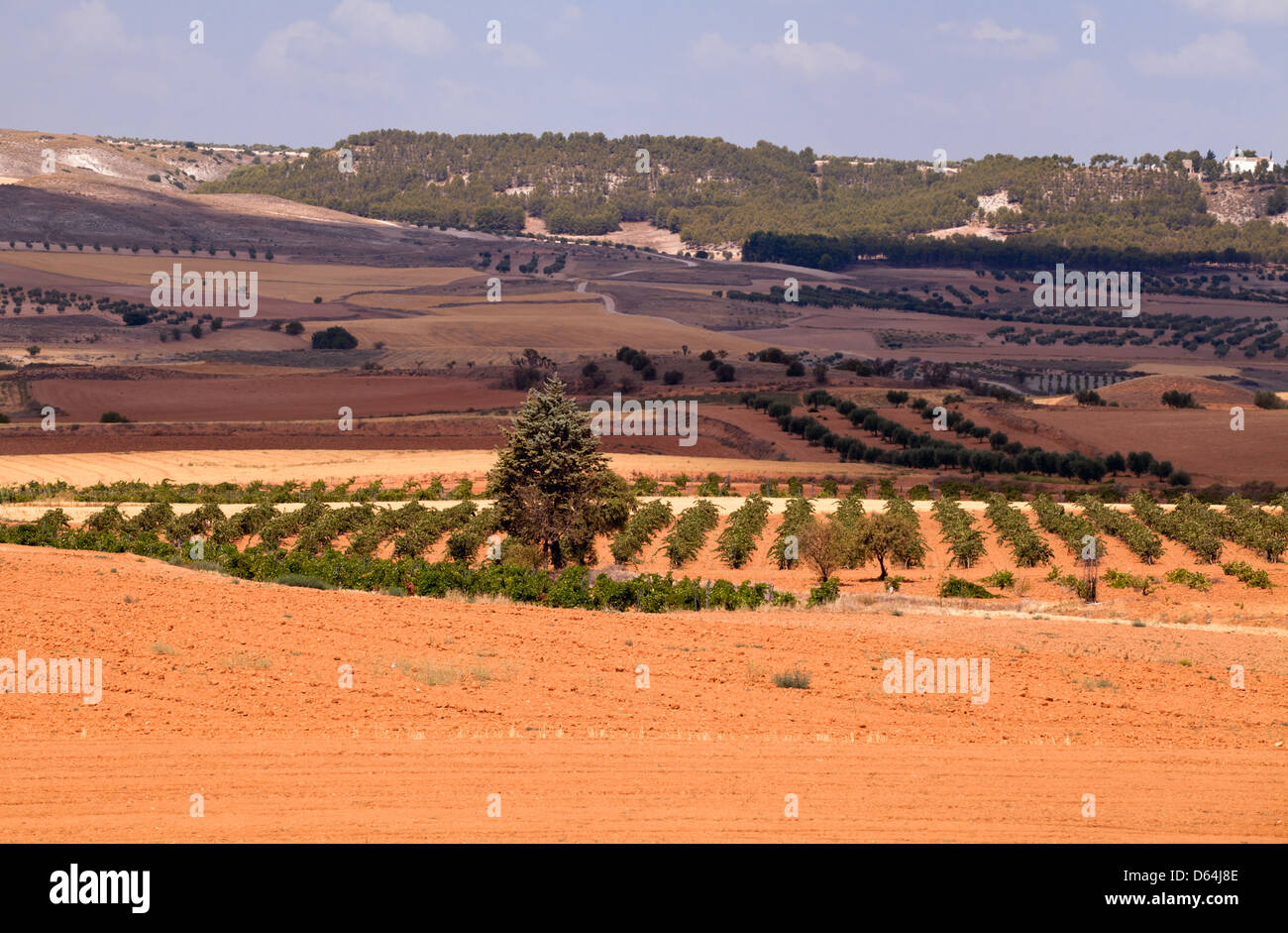 typical Spanish rural landscape Stock Photo Alamy