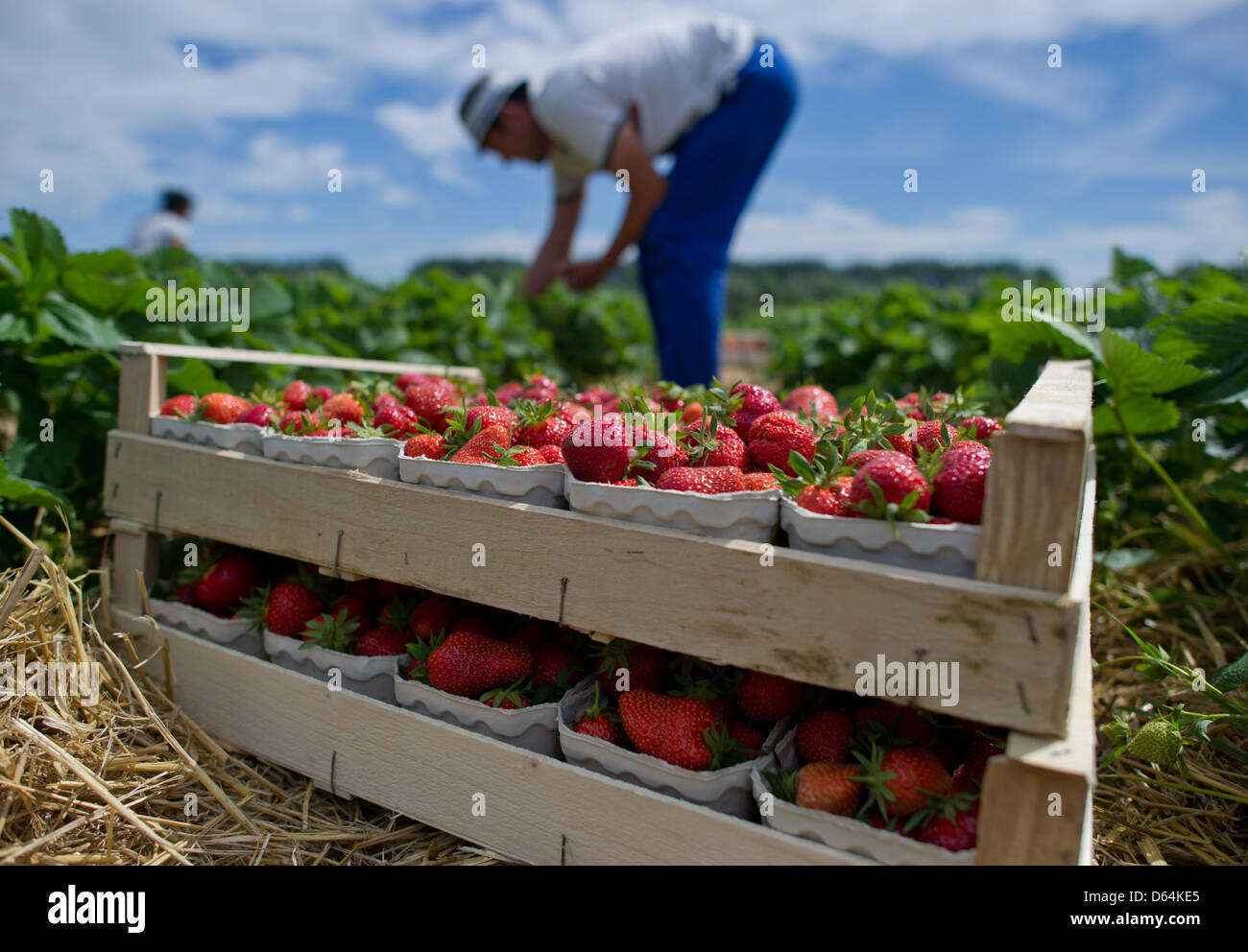 Workers from eastern europe hires stock photography and images Alamy