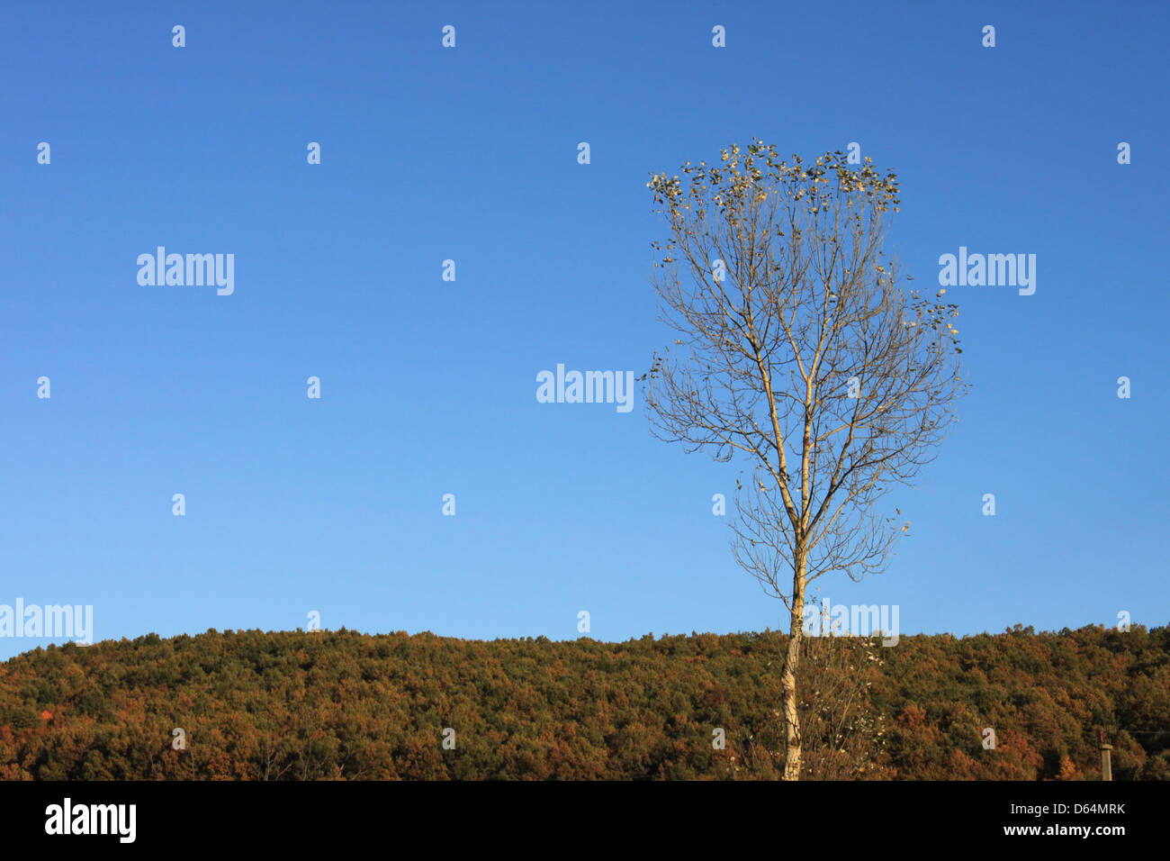 Slender structure stands hi-res stock photography and images - Alamy