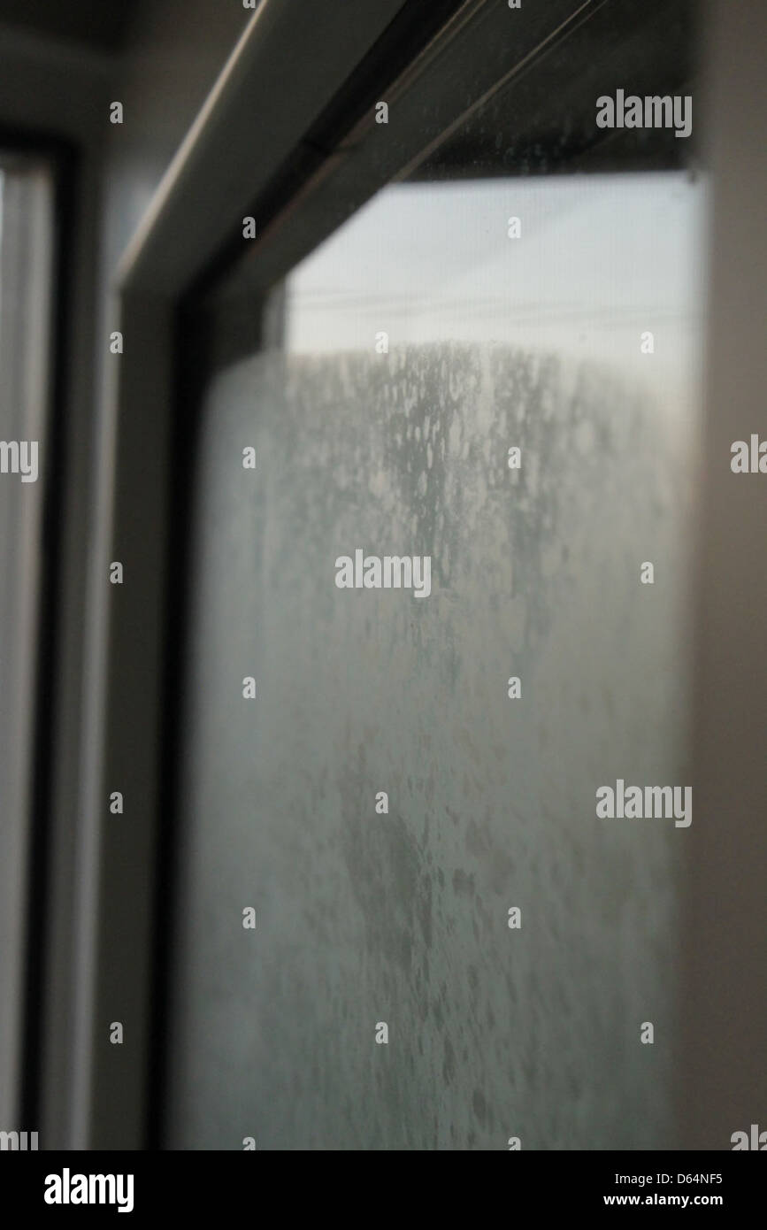 CondensationonDoubleGlazedWindows 2372IMG 2153 Stock Photo Alamy