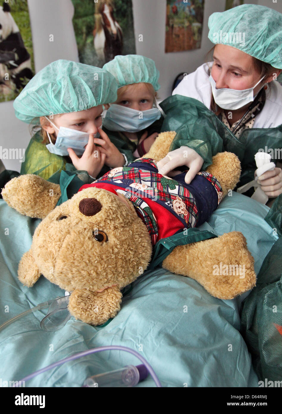 Medical student Franziska Schmeil (R) operates on the teddy bear 'Mr bear' at the 'Teddy bear clinic' in Halle (Saale), Germany, 04 June 2012. During the surgery the appendix of the bear is removed. The Teddy bear clinic wishes to remove the fear of hospitalisation. Photo: Jan Woitas Stock Photo