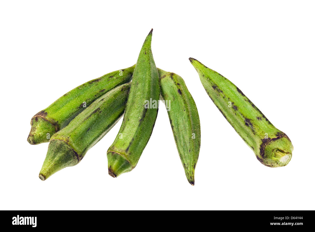Okra fruits hires stock photography and images Alamy