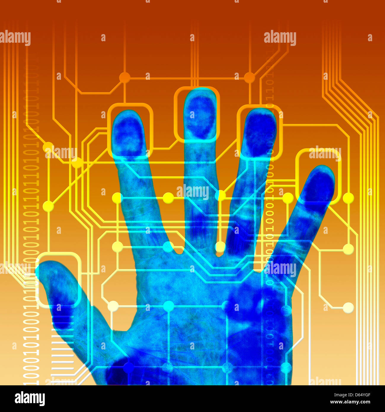 Automated fingerprint identification system hires stock photography