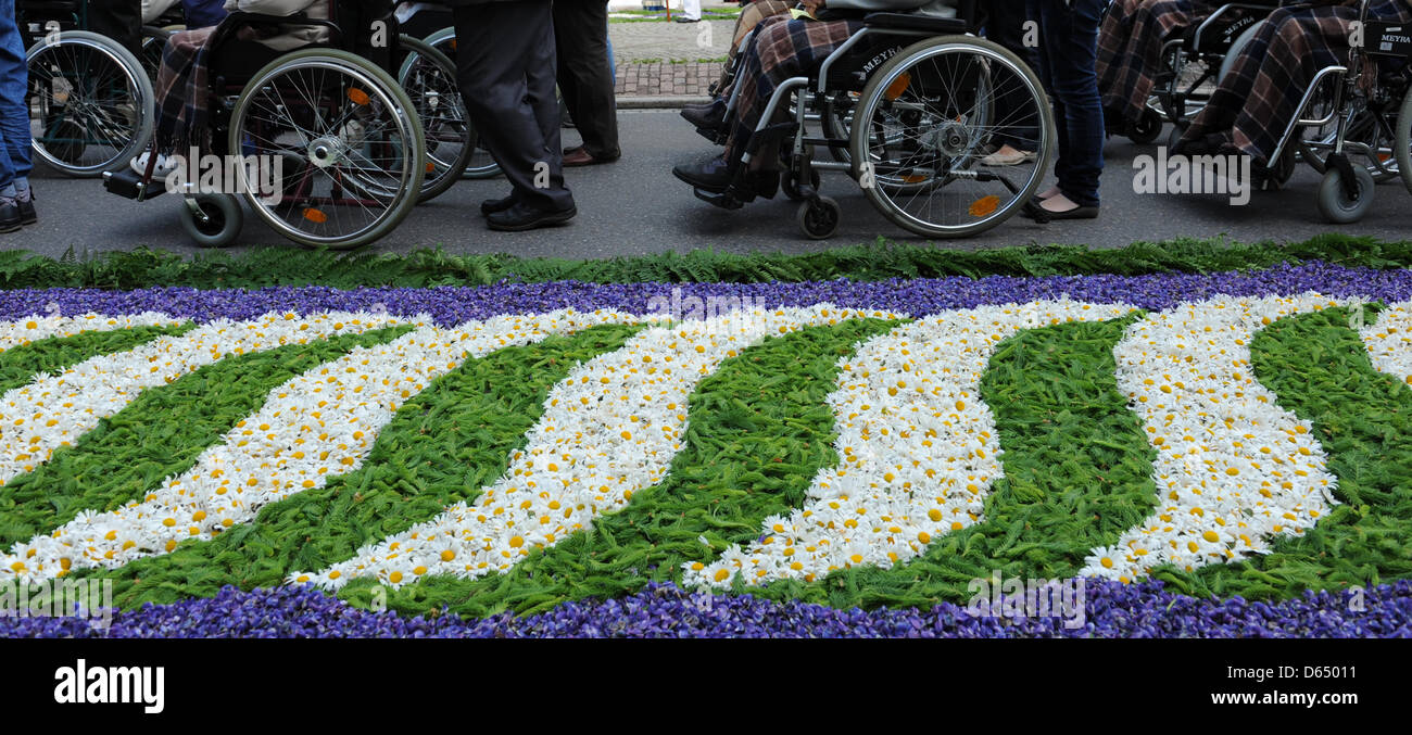 Wheelchair users go past a carpet of flowers during the Corpus Christi procession in Huefingen, Germany, 07 June 2012. The carpet of flowers has a length of 450 meters. Corpus Christi or Body of Christ is a predominantly Catholic tradition that commemorate the institution of the Holy Eucharist, the holy communion. Photo: PATRICK SEEGER Stock Photo