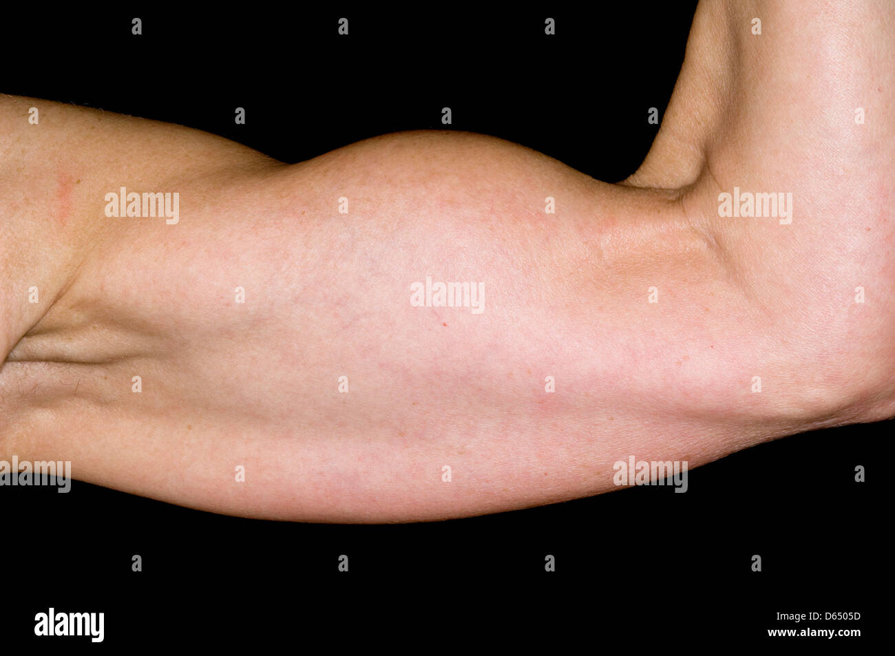 Biceps tendon hi-res stock photography and images - Alamy