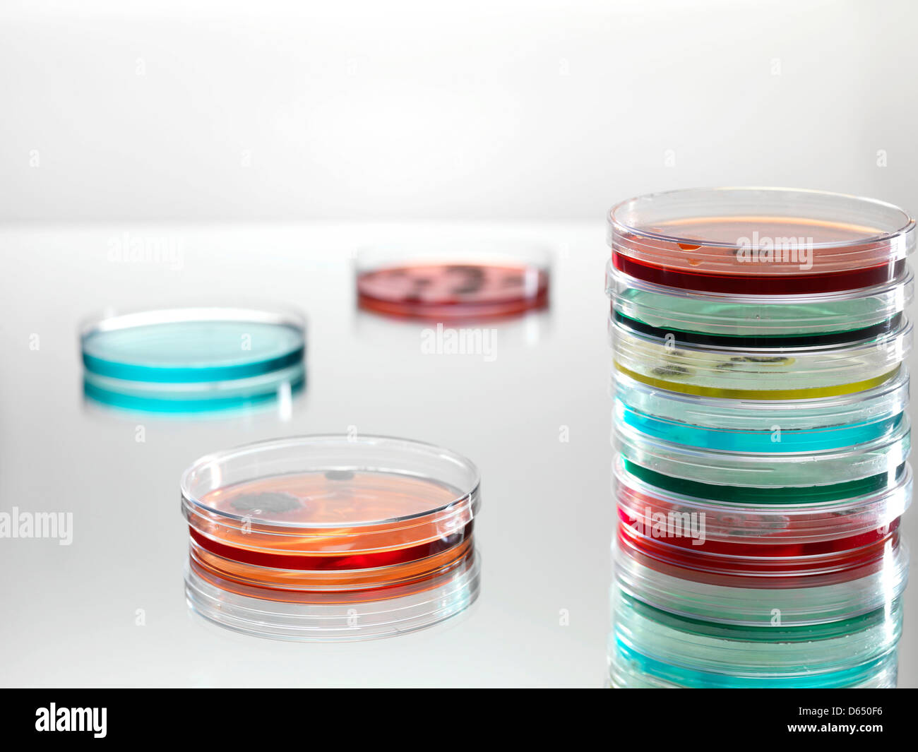 Microbiology research Stock Photo