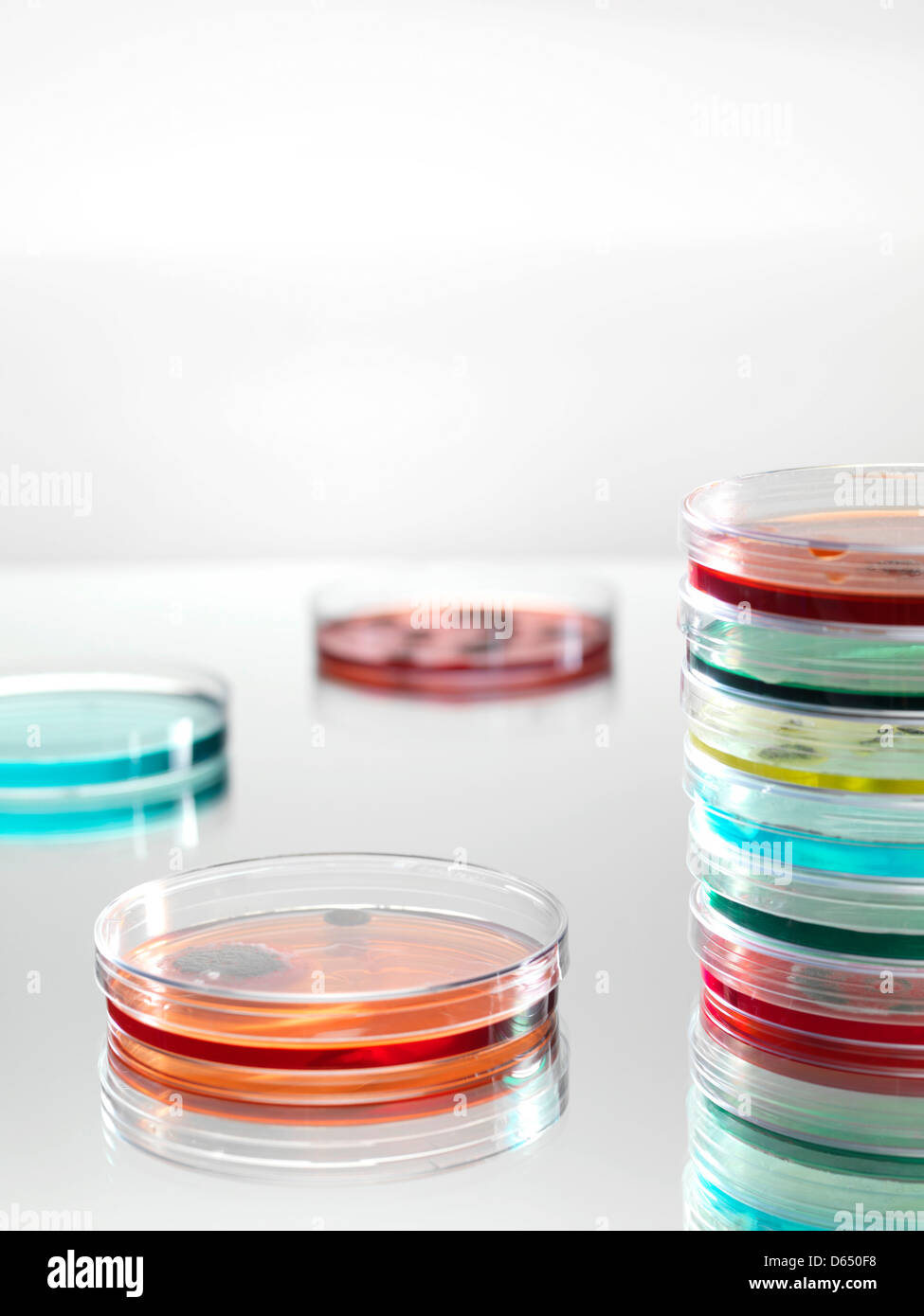 Microbiology research Stock Photo