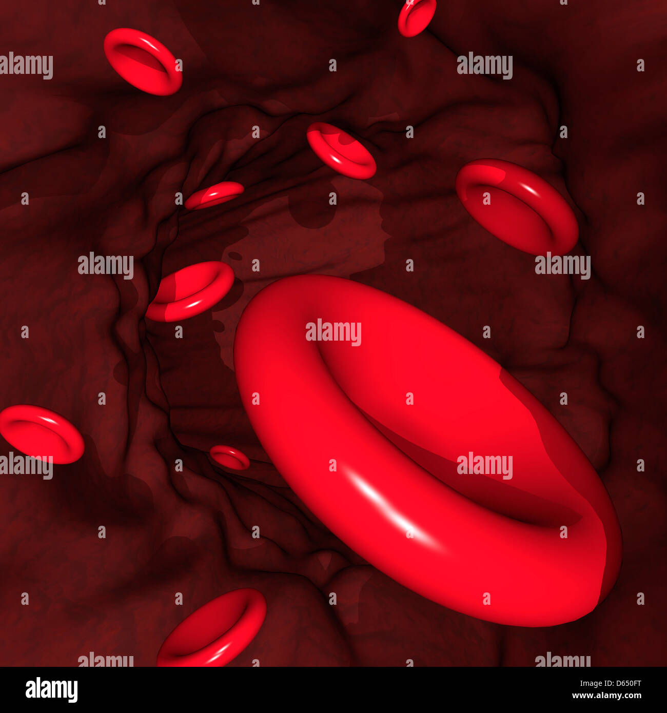 Red blood cells, artwork Stock Photo Alamy