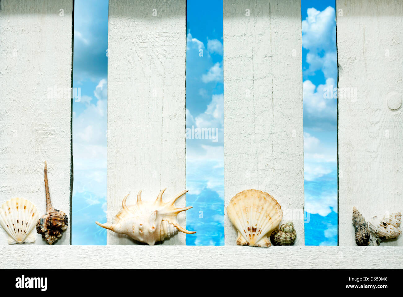Shells at sea on the fence on beach abstract background concept Stock Photo