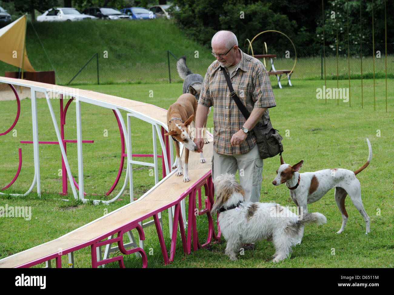 dog run installation