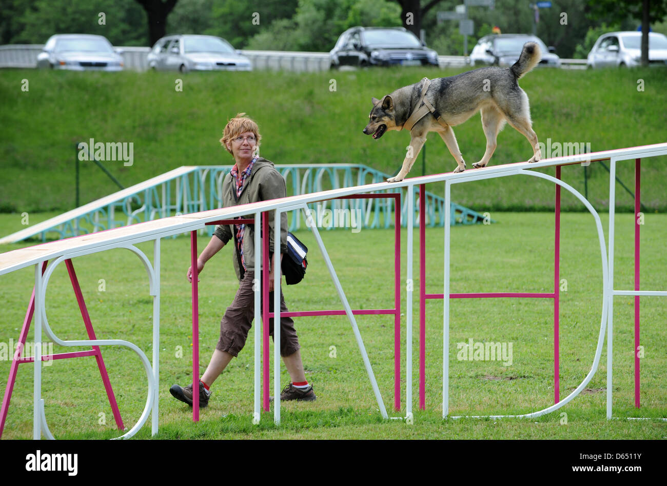 dog run installation