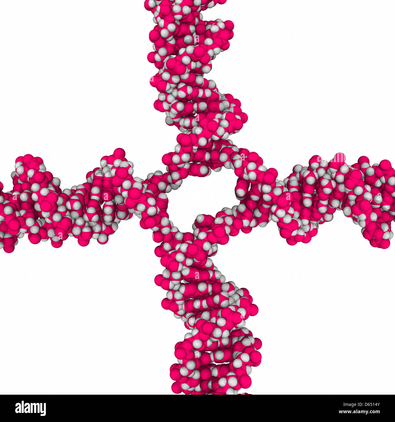 DNA Holliday junction, molecular model Stock Photo