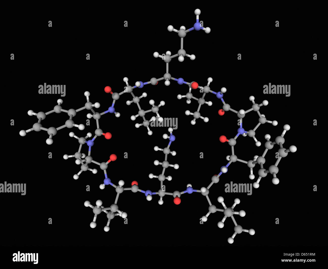 Gramicidin S drug molecule Stock Photo - Alamy