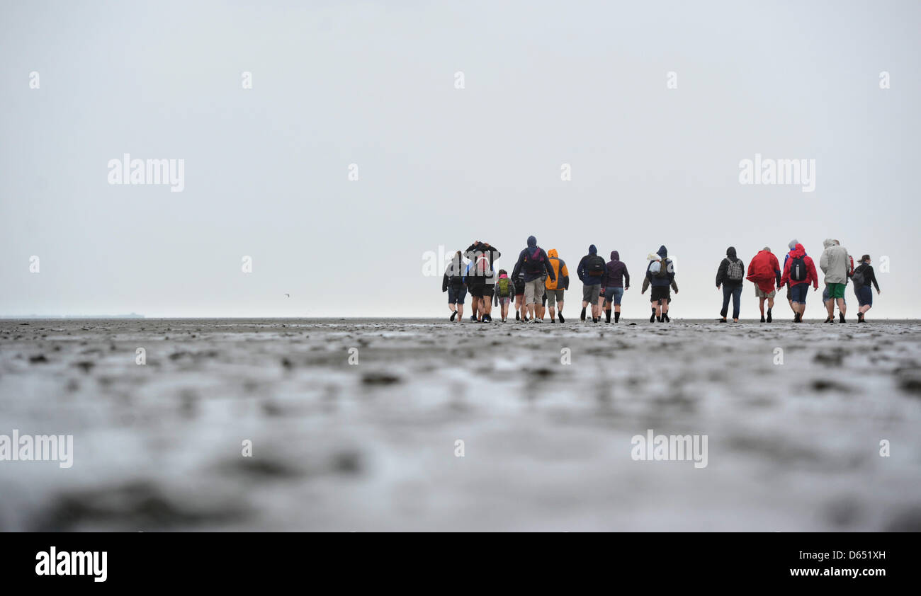 People walk across the mudflats of the wadden sea between Nessmersiel and the island of Baltrum during stong wind and rains at the North Sea coast near Baltrum, Germany, 09 June 2012. Meteorologists predict changing weather for the coming few days. Photo: JULIAN STRATENSCHULTE Stock Photo